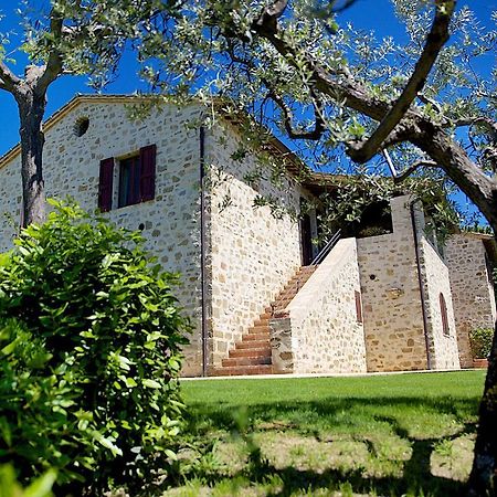 Agriturismo Le Colombe אסיסי מראה חיצוני תמונה