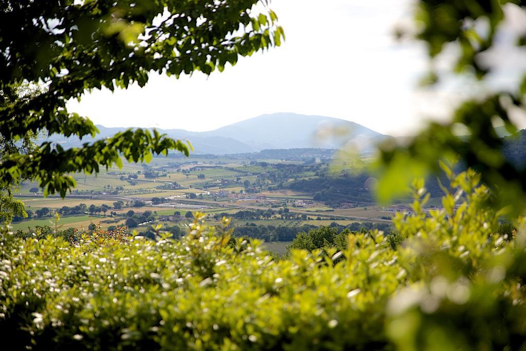 Agriturismo Le Colombe אסיסי מראה חיצוני תמונה