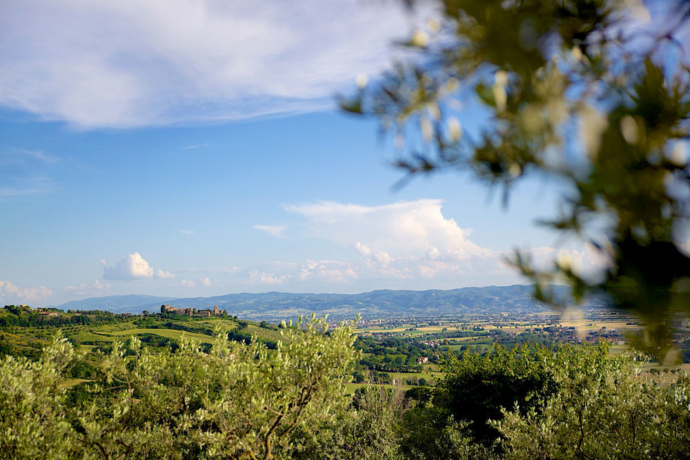 Agriturismo Le Colombe אסיסי מראה חיצוני תמונה