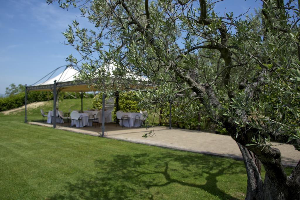 Agriturismo Le Colombe אסיסי מראה חיצוני תמונה