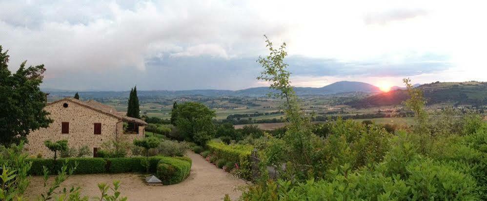 Agriturismo Le Colombe אסיסי מראה חיצוני תמונה
