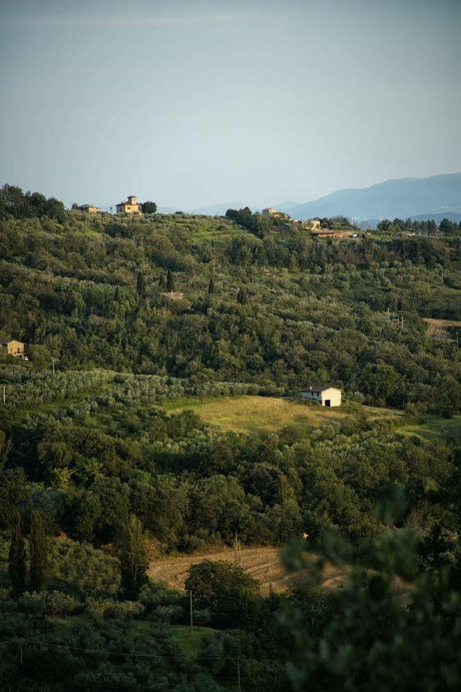 Agriturismo Le Colombe אסיסי מראה חיצוני תמונה