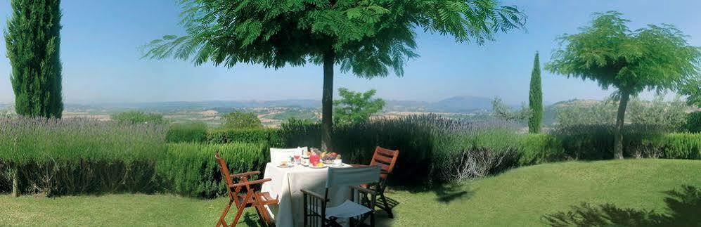 Agriturismo Le Colombe אסיסי מראה חיצוני תמונה